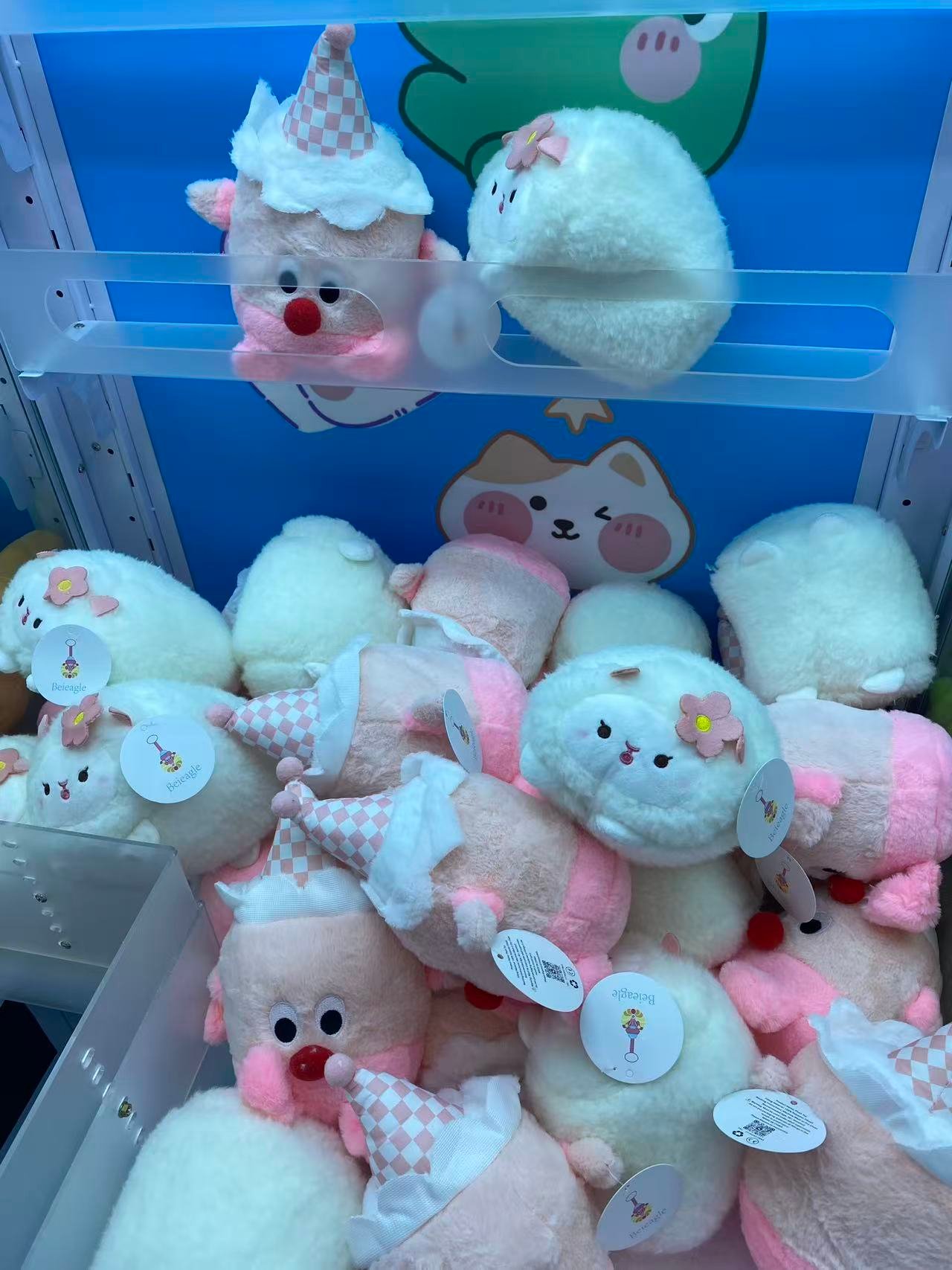 Image_20260221234126_556_5