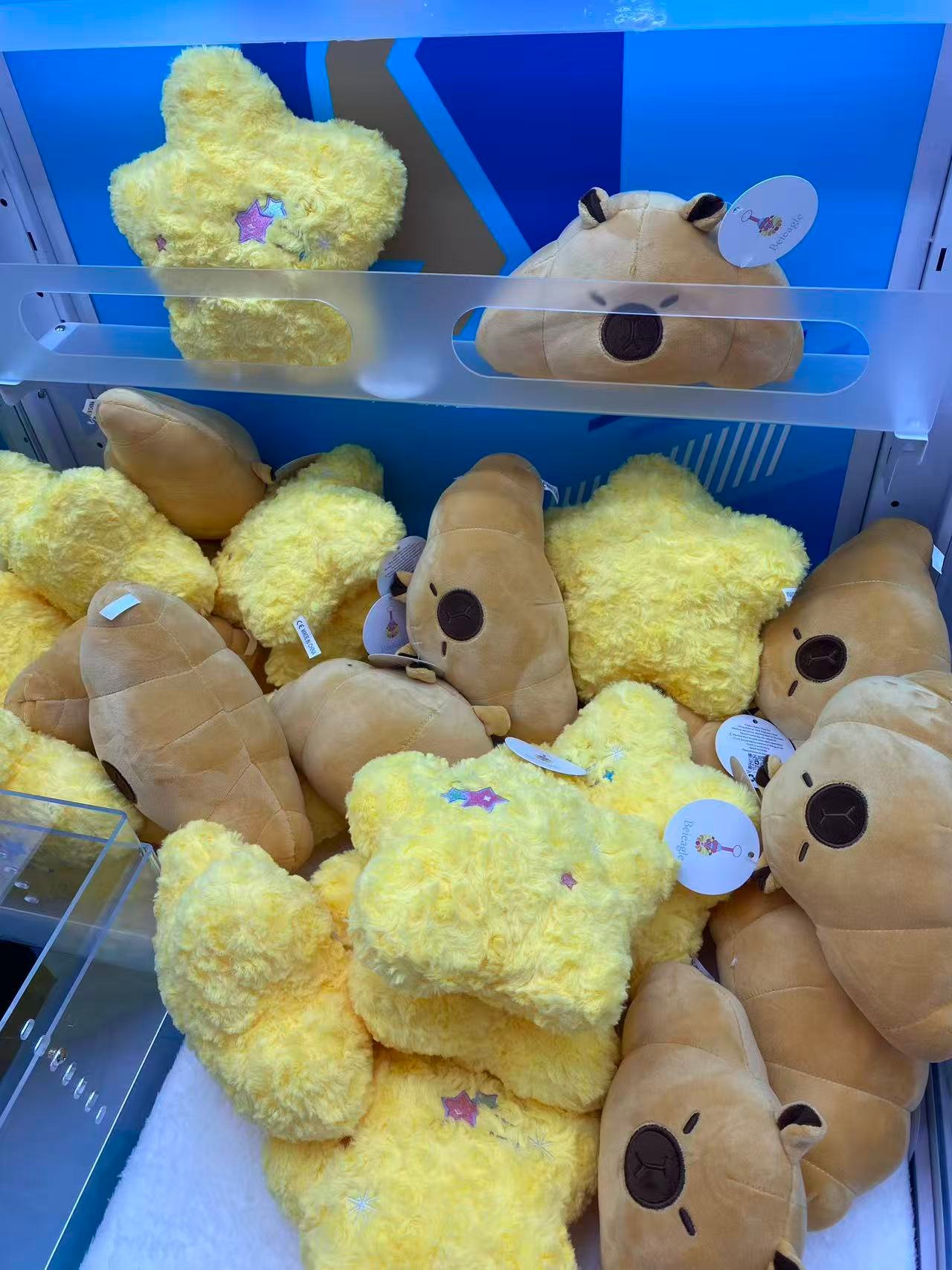 Image_20260221234128_557_5