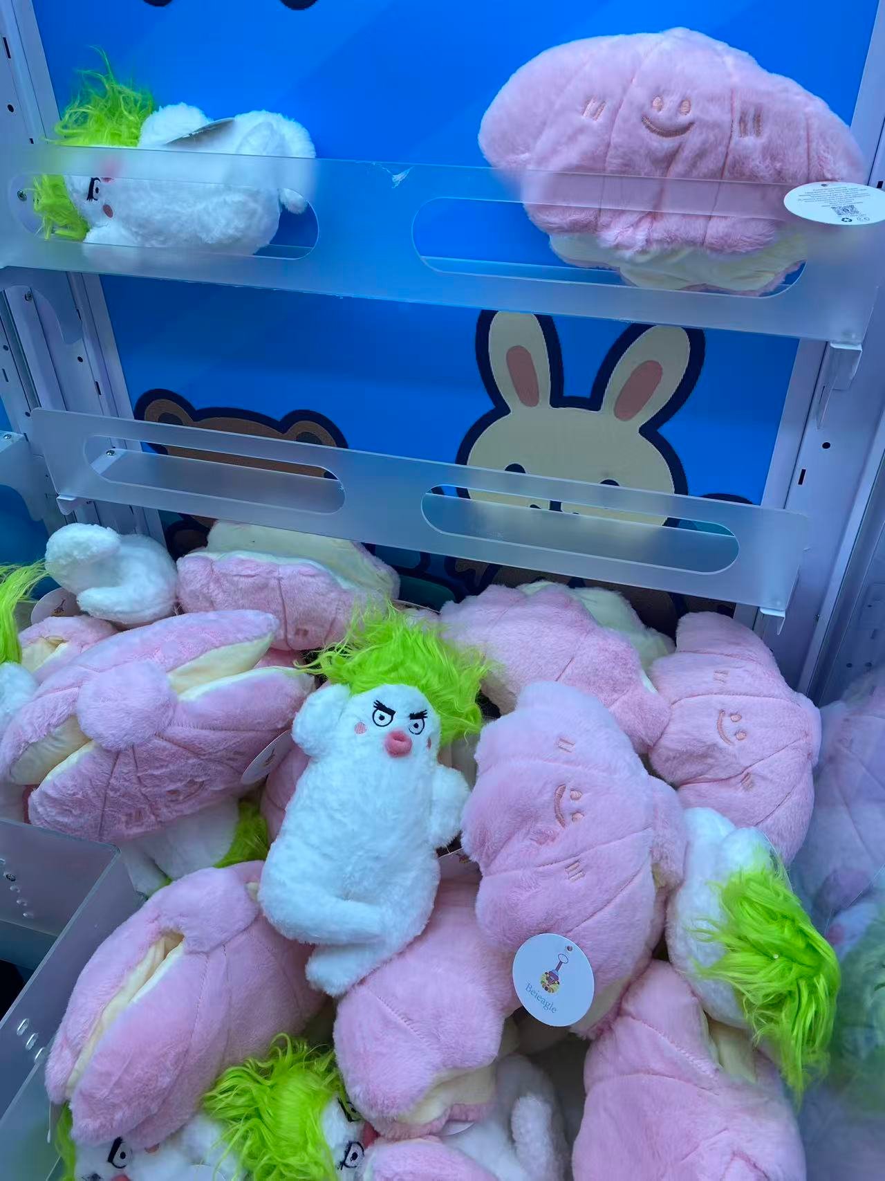 Image_20260221234144_565_5