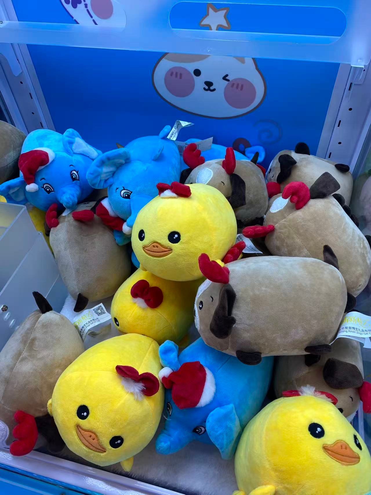 Image_20260221234146_566_5