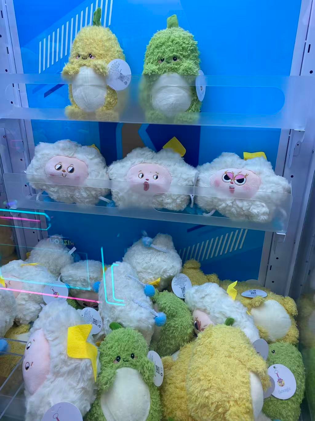 Image_20260221234155_570_5